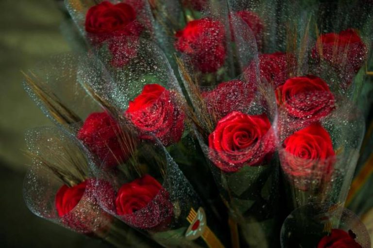 Comunicado del Gremio de Libreros de Cataluña sobre coincidencia del partido del FC Barcelona con la Diada de Sant Jordi 2023