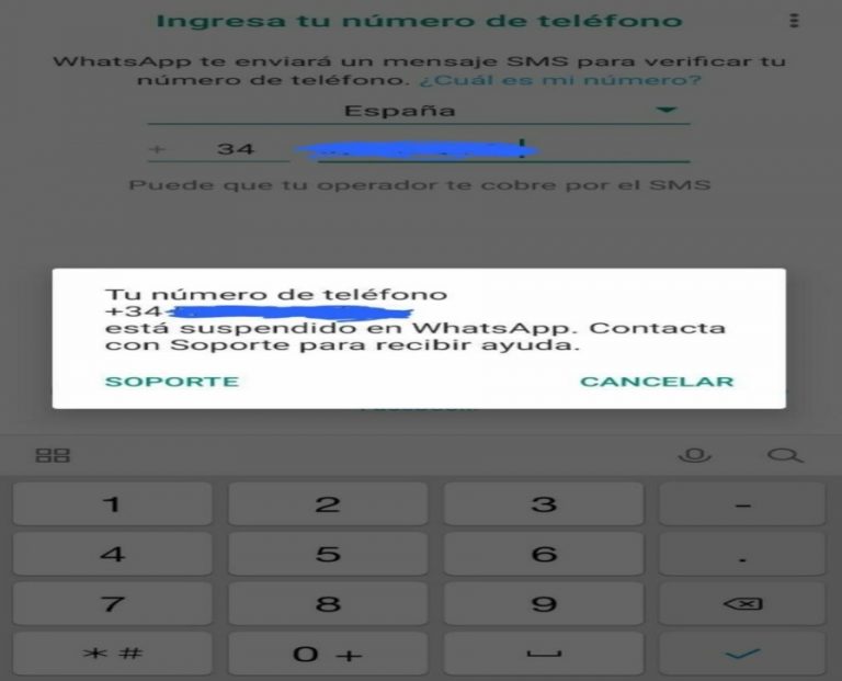 El Gobierno de Sánchez y Pablo Iglesias «nos está espiando los mensajes Whatsapp»