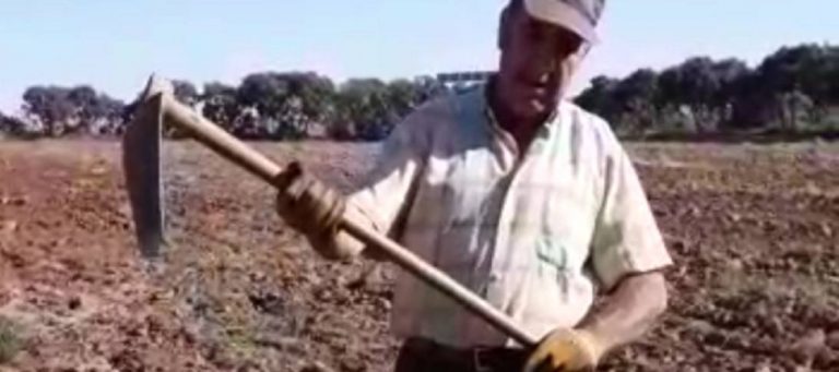 Trabajador al Gobierno Sánchez: «No valéis» para nada. «Un azadón es lo que os falta. Sois unos sinvergüenzas»