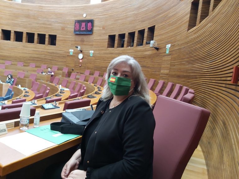 Cerdán (VOX) pregunta en la Comisión de Economía si habrá Test del COVID 19 para todos los valencianos