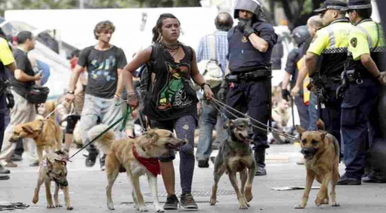 FOTOGRAFÍA. BARCELONA (ESPAÑA), 27.05.2011. Los Mozos de Escuadra cargan contra grupos de «indignados» de la ultraizquierda, del movimiento '11M', quienes trataban de impedir la entrada de los camiones de limpieza en la zona. Al menos 120 heridos en el desalojo de la Plaza Cataluña en Barcelona (Cataluña) España. Perros, ley animal, ley de bienestar animal, animal, mascota, okupa, 11M, Plaza Cataluña. Efe