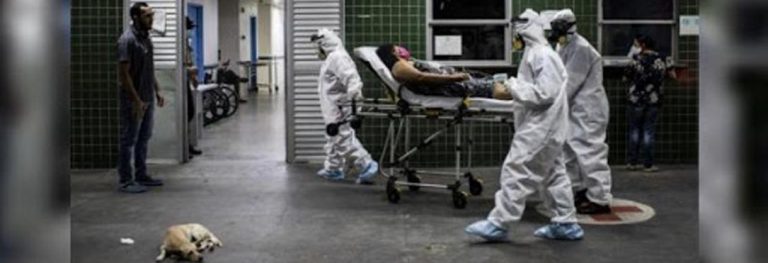 Al menos «5% de la vacuna de la gripe podría estar infectada con el coronavirus (covid 19)»