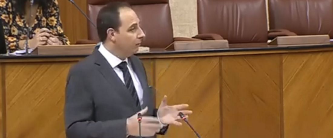 FOTOGRAFÍA. SEVILLA (ESPAÑA), 03.06.2020. El diputado de VOX, Francisco José Ocaña. Ñ Pueblo