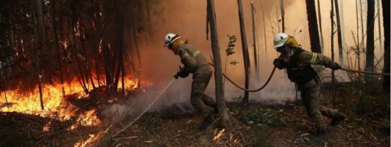 Más de 650 bomberos combaten un incendio forestal de grandes dimensiones en Oleiros (Portugal)