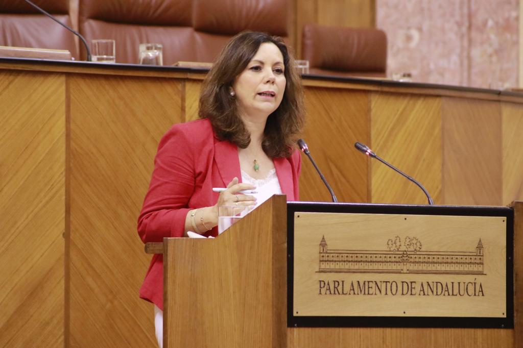 FOTOGRAFÍA. SEVILLA (ESPAÑA), 15.07.2020. La «Mujer de VOX», portavoz de la Comisión de Igualdad y Políticas Sociales en el Parlamento de Andalucía y diputada por Cádiz, Ángela Mulas. Ñ Pueblo (1)
