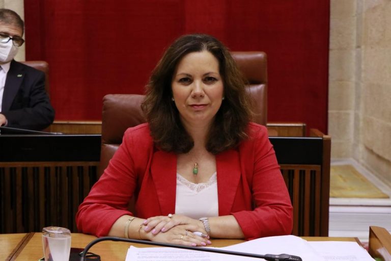 Andalucía aprueba la PNL de VOX para acabar con el «lenguaje inclusivo» impuesto por comunistas
