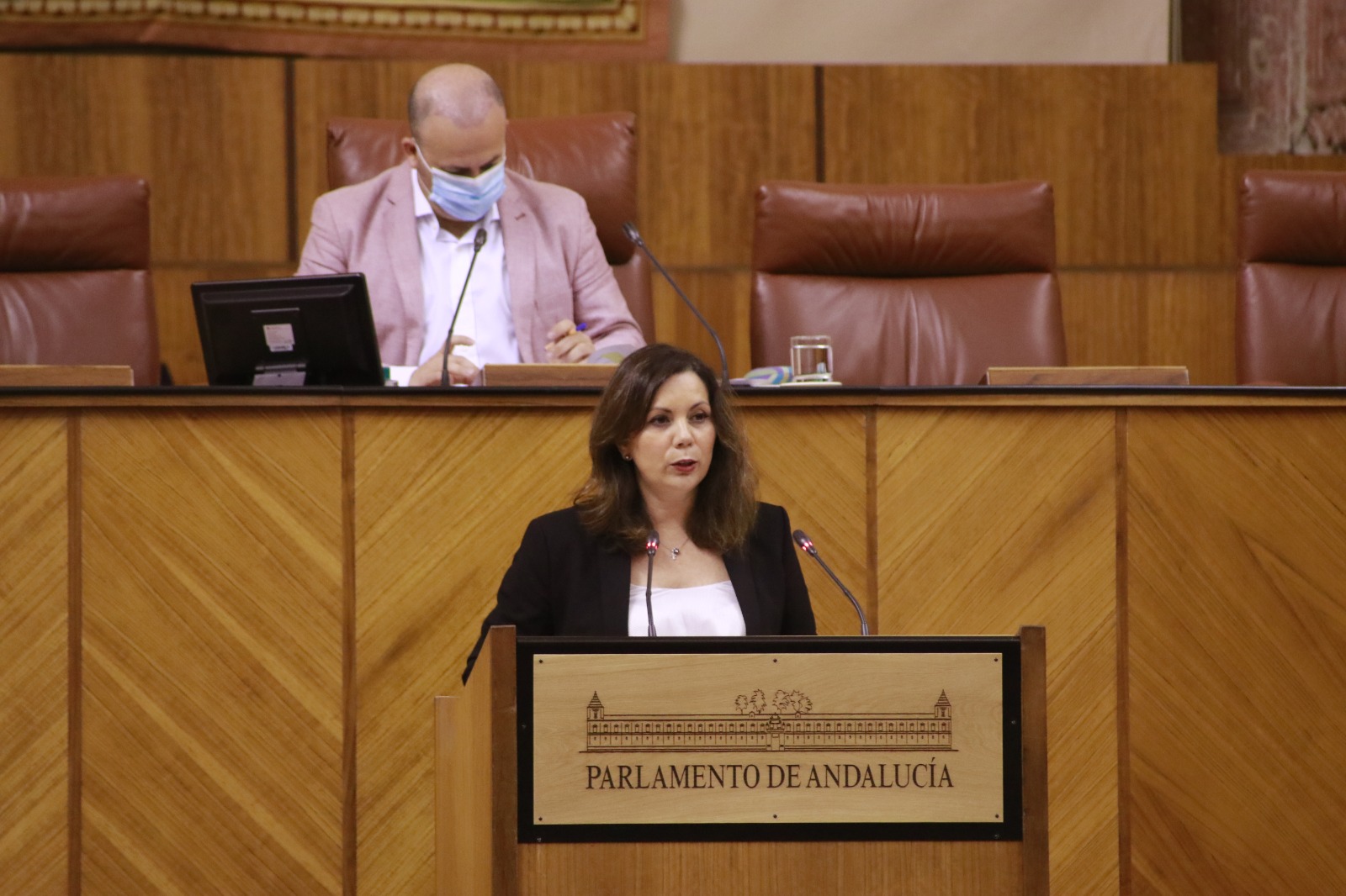 FOTOGRAFÍA. SEVILLA (ESPAÑA), 16.07.2020. La «Mujer de VOX», portavoz de la Comisión de Igualdad y Políticas Sociales en el Parlamento de Andalucía, Ángela Mulas. Ñ Pueblo (1)