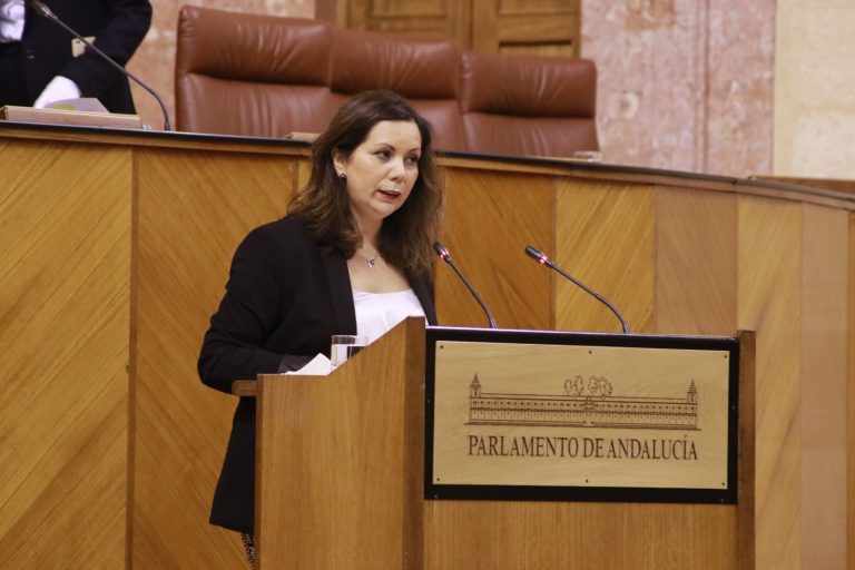 VOX critica que los ex dirigentes socialistas no quieran esclarecer la «estafa de la Faffe»