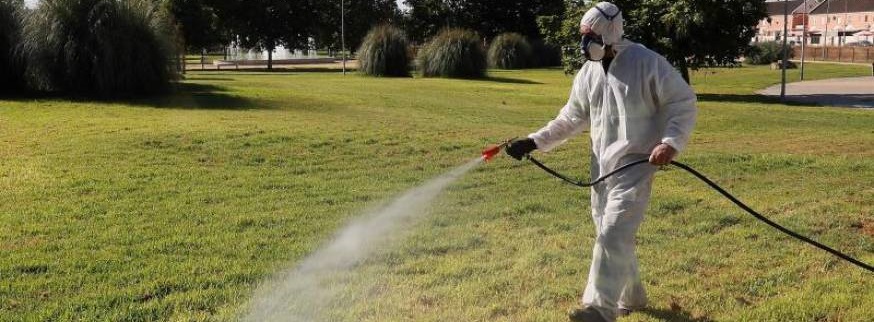 FOTOGRAFÍA. CORIA DE RÍO (SEVILLA) ESPAÑA, 22.08.2020. «Virus del Nilo» España. El número de muestras positivas a la «fiebre del Nilo». Efe