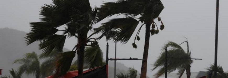 FOTOGRAFÍA. GUAYAMA (PUERTO RICO), 22.08.2020. Palmeras evidencian la velocidad del viento debido al paso de la tormenta Laura hoy, sábado 22 de agosto de 2020, en Guayama, sur de Puerto Rico. Efe
