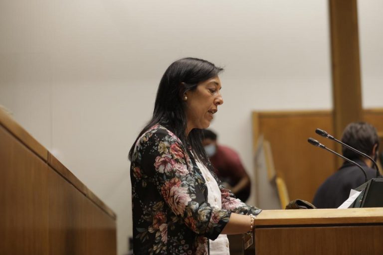 Amaia (VOX Parlamento País Vasco): «Vivimos la persecución a cualquier atisbo de españolidad»
