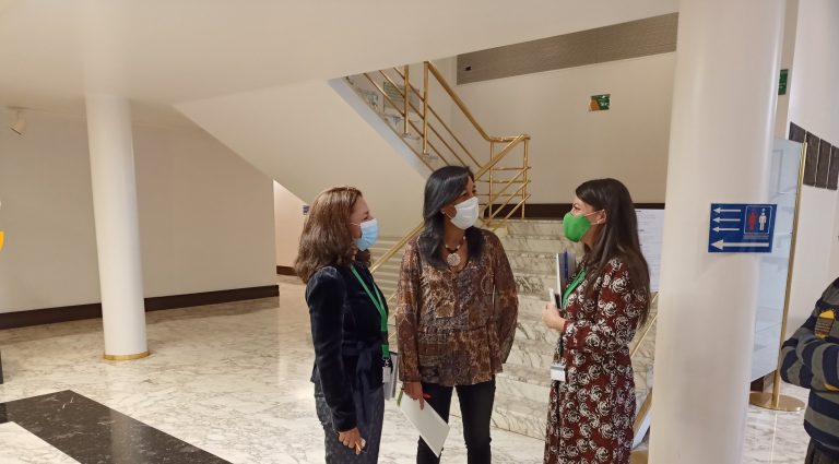 Martínez y Olona anuncian recurso de inconstitucionalidad contra el veto de los cruzados Bildu, PSOE y PNV a la opinión