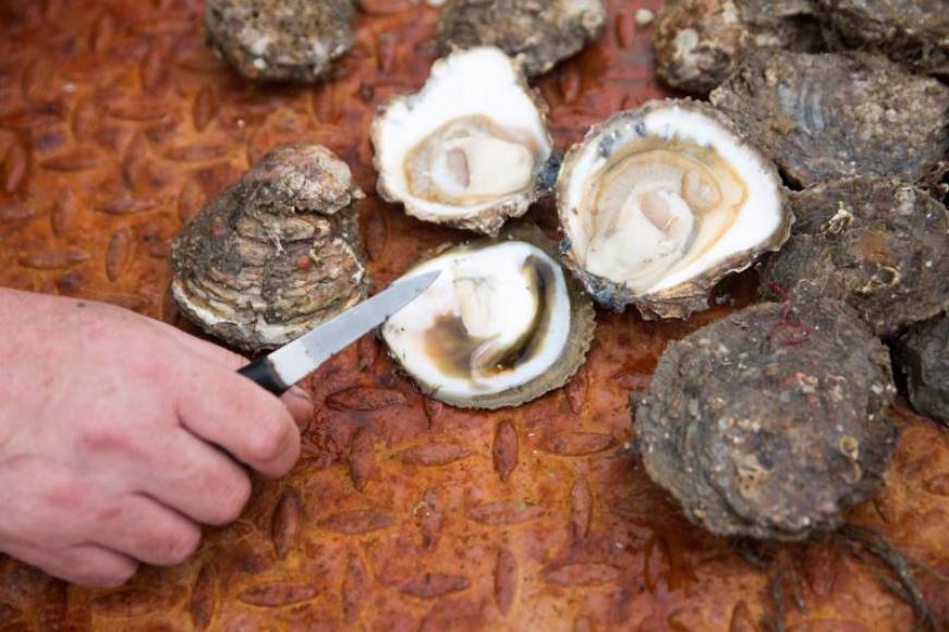 FOTOGRAFÍA. SEVILLA (ESPAÑA), 03.10.2020. Un estudio del Laboratorio de Paleontología y Paleobiología del Instituto Andaluz de Patrimonio Histórico (IAPH). Efe