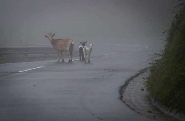 Nieblas matinales extensas y viento de levante fuerte en España