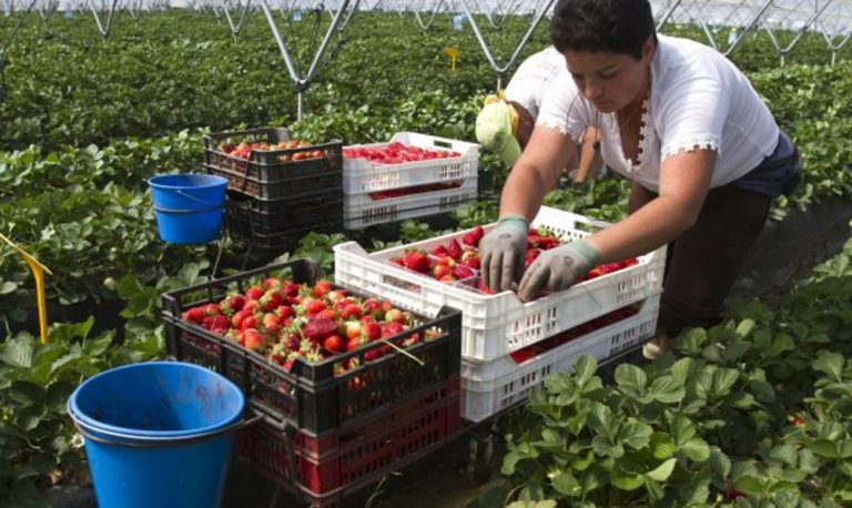 La ultraizquierda anuncia un «registro de contratos» para «garantizar precios justos» en España