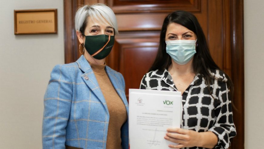 FOTOGRAFÍA. MADRID (ESPAÑA), 06.11.2020. Los «52 de VOX» en el Congreso de los Diputados, Olona. Ñ Pueblo