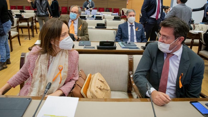 FOTOGRAFÍA. MADRID (ESPAÑA), 13.11.2020. Joaquín Robles y Georgina Trías. Lasvocesdelpueblo  (Ñ Pueblo)