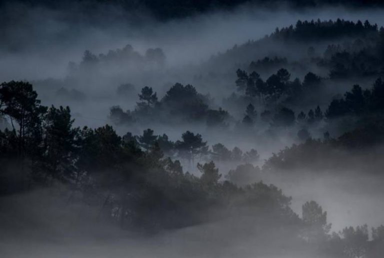 Nieblas extensas y depresiones localmente persistentes en España