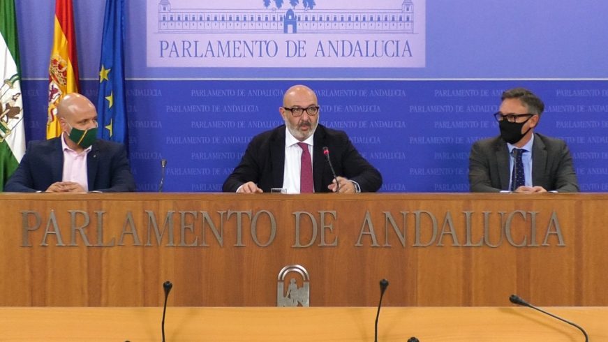 FOTOGRAFÍA. SEVILLA (ESPAÑA), 13.11.2020. Los diputados de la Voz de los Españoles (VOX), Alejandro Hernández, el portavoz del grupo parlamentario VOX en Andalucía. Ñ pueblo (1)