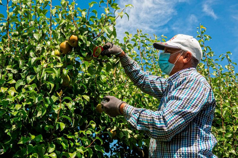 Agricultura Viva en Acción «investigará hasta fondo» e «identificar a los sujetos responsables de la ruina del sector»