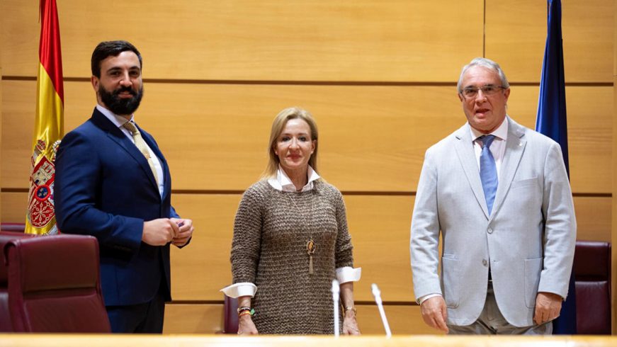 FOTOGRAFÍA. MADRID (ESPAÑA), 03.12.2020. Los senadores de VOX, Jacobo González-Robatto (i), José Manuel Marín (d) y Yolanda Mérelo (c). (Ñ Pueblo)