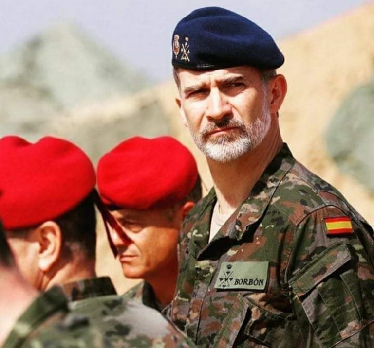 El rey de España es el título por el que ostenta la Jefatura del Estado y mando supremo de las Fuerzas Armadas