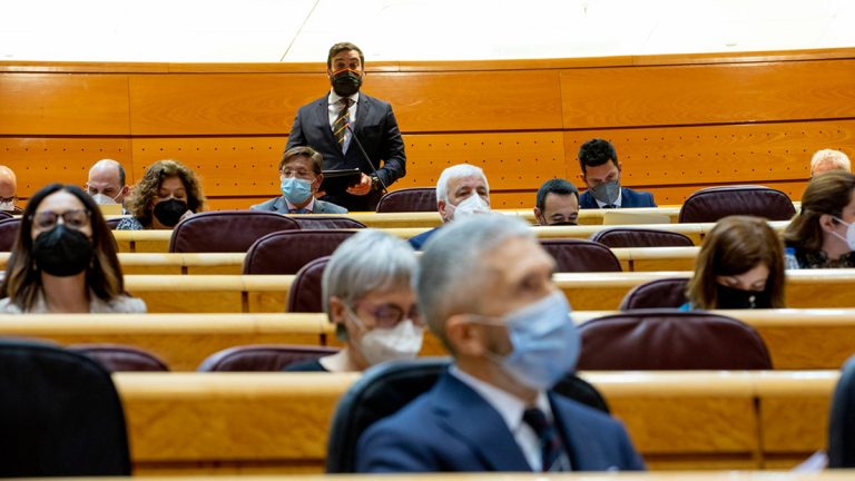 El senador de VOX a Marlaska: «¿Va a esperar a que haya un muerto para darse cuenta de la violencia salvaje que aplauden sus socios?»