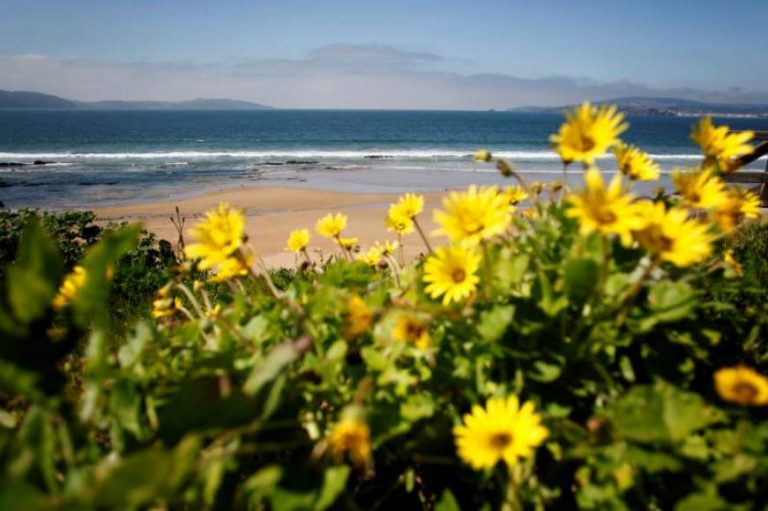 El Tiempo España el 17M: Cielos poco nubosos en buena parte del país y fuerte viento en el Estrecho, Pirineos, Ampurdán y Baleares