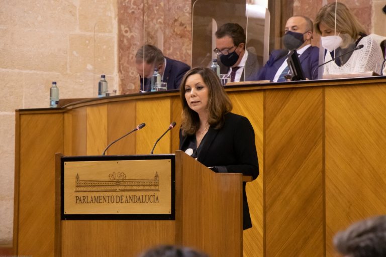 Ángela Mulas (VOX): «No podemos aceptar de ninguna de las maneras la continuidad de las políticas desarrolladas por el PSOE»