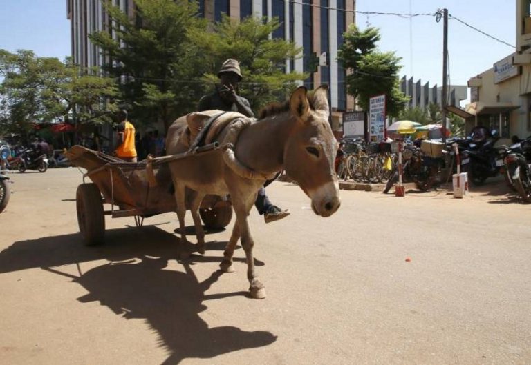 Los islamistas asesinan a 132 personas en Solhan (Sebba) Burkina Faso