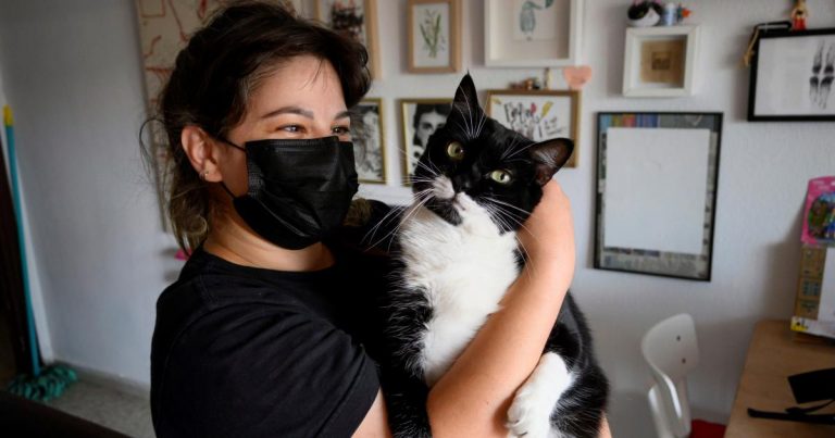 Cuidar mascotas ajenas, un trabajo que suma ronroneos