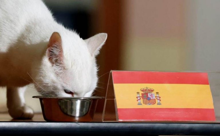 Victoria de España sobre Suiza en los cuartos de la Eurocopa 2020, según el gato ruso «Aquiles»