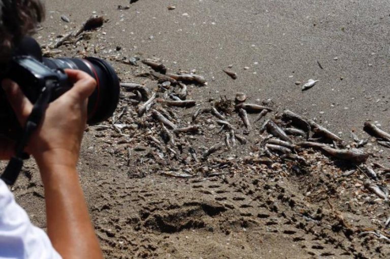 VOX registra decenas de preguntas al Gobierno en defensa del Mar Menor: Tras «2 años sin soluciones concretas»