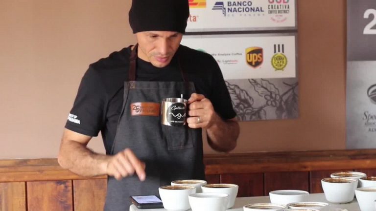 «Geisha», el café de Panamá con precio récord, reina en una cata internacional