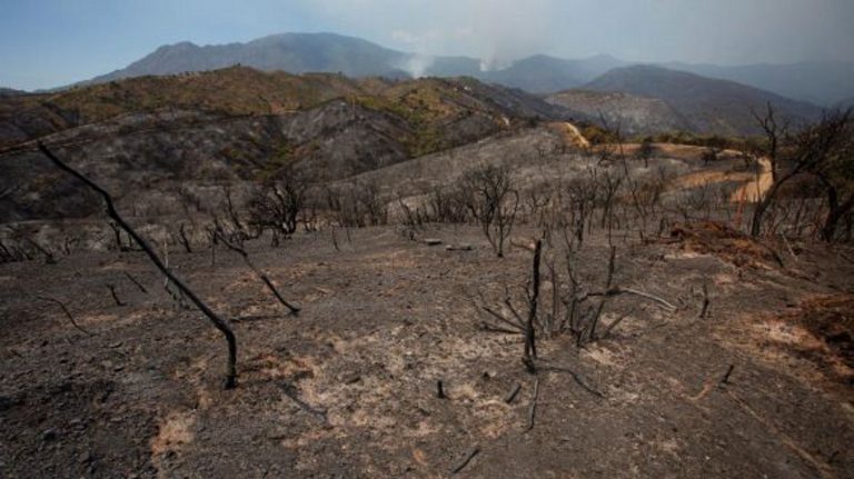Un nuevo incendio en Sierra Bermeja obliga a desalojar más pueblos