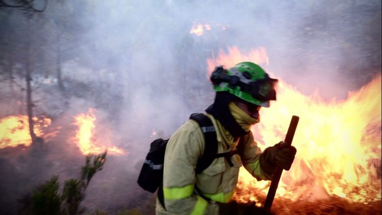 La UME y medios de Transición Ecológica colaboran contra el incendio de l sierra Bermeja (Málaga)