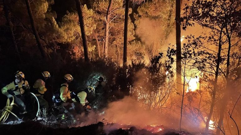 Medios aéreos luchan contra el fuego de Málaga que quemó 7.400 hectáreas
