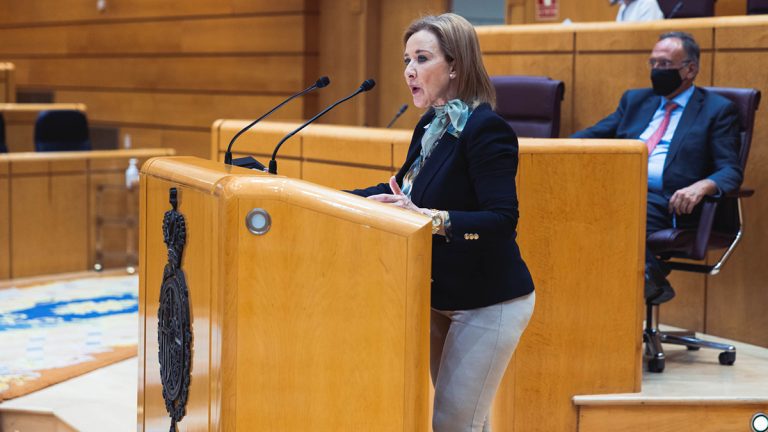 La senadora de VOX Yolanda Merelo Palomares