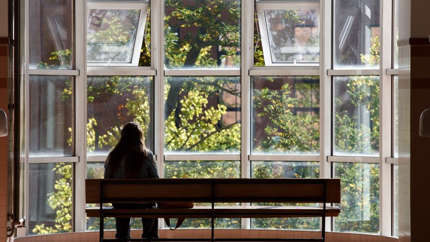 FOTOGRAFÍA. VITORIA (ESPAÑA), 04.10.2021. Una mujer observa los jardines del exterior de la facultad de Farmacia del campus de Vitoria, Efe