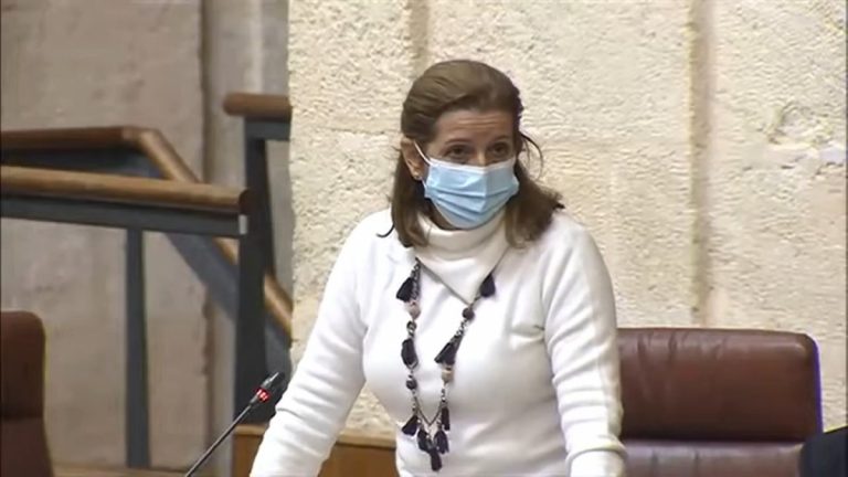 María José Piñero (VOX) al Gobierno del PP y Cs: El uso del «Pasaporte COVID es lo que hacían los nazis» del Tercer Reich en «Alemania»