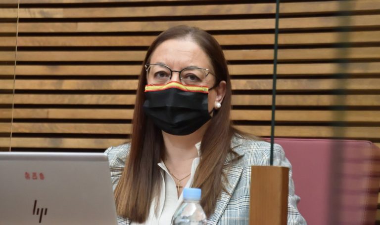 Massó (VOX): «Estos Presupuestos son la campaña electoral de Puig»
