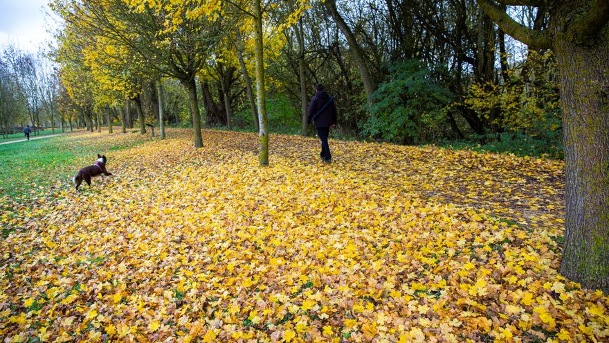 FOTOGRAFÍA. VITORIA (ESPAÑA), 16.11.2021. Un hombre pasea con su perro por el parque de Salburua en Vitoria este martes. Efe