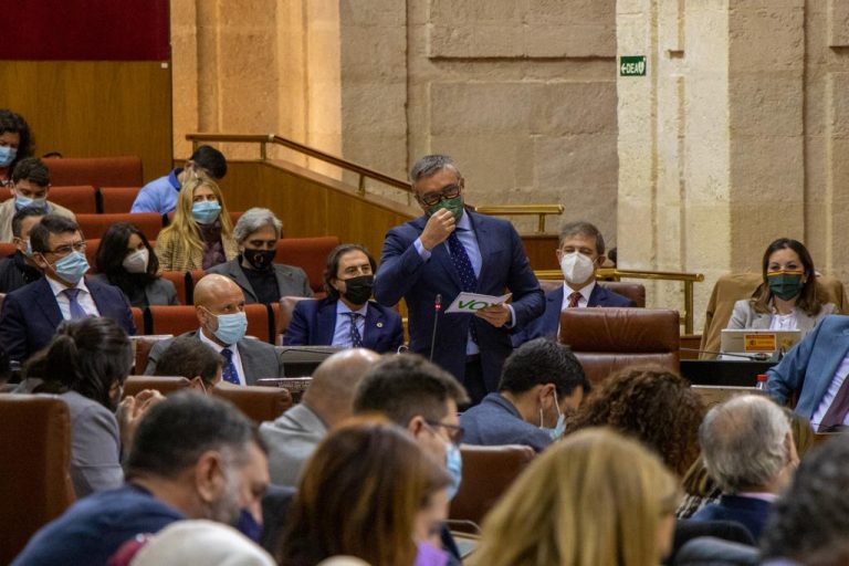 Gavira (VOX) insta al PP a «coger la pinza» para «taparse la nariz» tras pactar con el PSOE y Podemos la consolidación de los chiringuitos socialistas