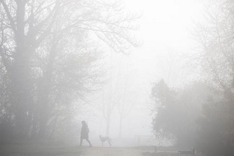 Tiempo estable y anticiclónico así como nieblas extensas y persistentes en España el 14D