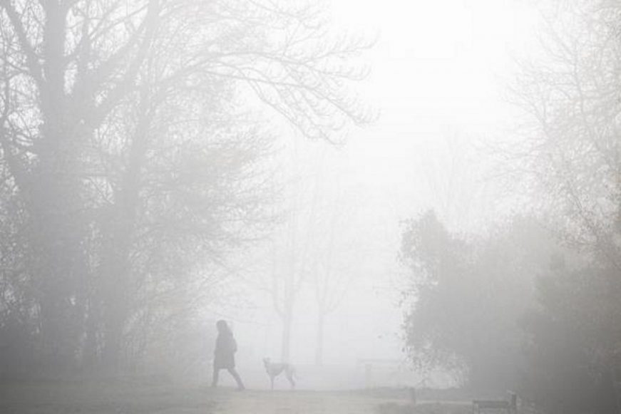 FOTOGRAFÍA. VITORIA (ESPAÑA), 13.12.2021. Una mujer paseando a su perro entre la niebla en Vitoria. Efe