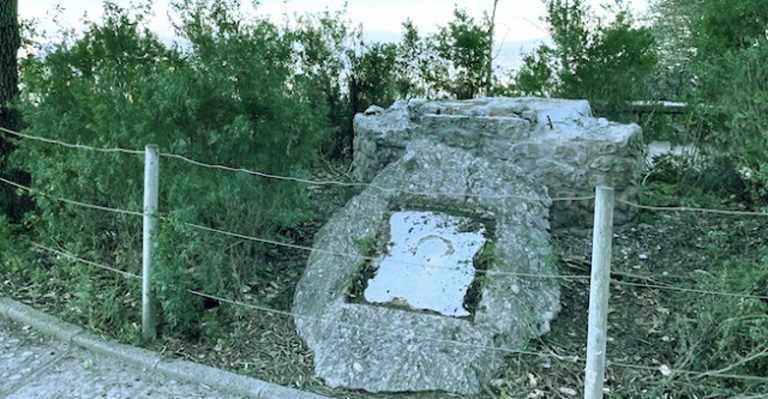 Yo os acuso… perros mudos