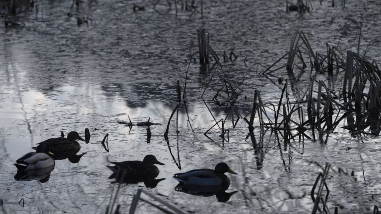 El tiempo el 19E en España: sol y frío con heladas intensas en gran parte del interior peninsular