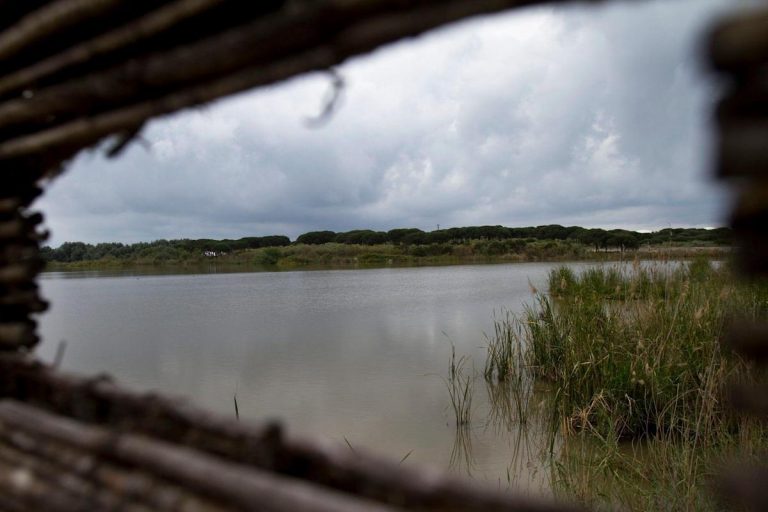 Jornada poco nubosa y temperaturas con pocos cambios en España el 23F