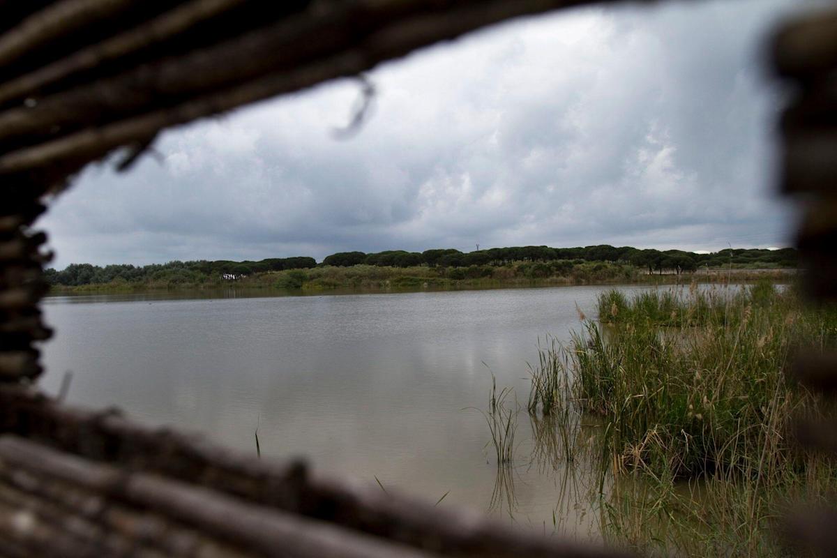 FOTOGRAFÍA. PALOS DE LA FRONTERA (ESPAÑA), 22.02.2022. La Laguna Primera, en el término municipal de Palos de la Frontera (Huelva). Efe