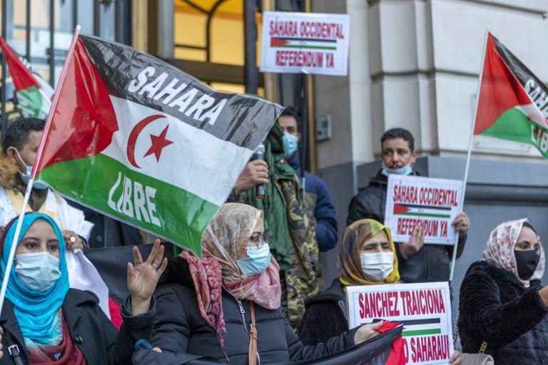 Saharauis: Pedro Sánchez y PSOE son unos «traidores»